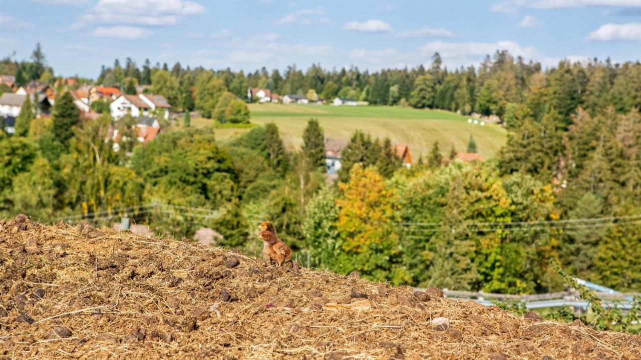 Landpension Pferdekoppel - B&B - Self Checkin Seewald 外观 照片